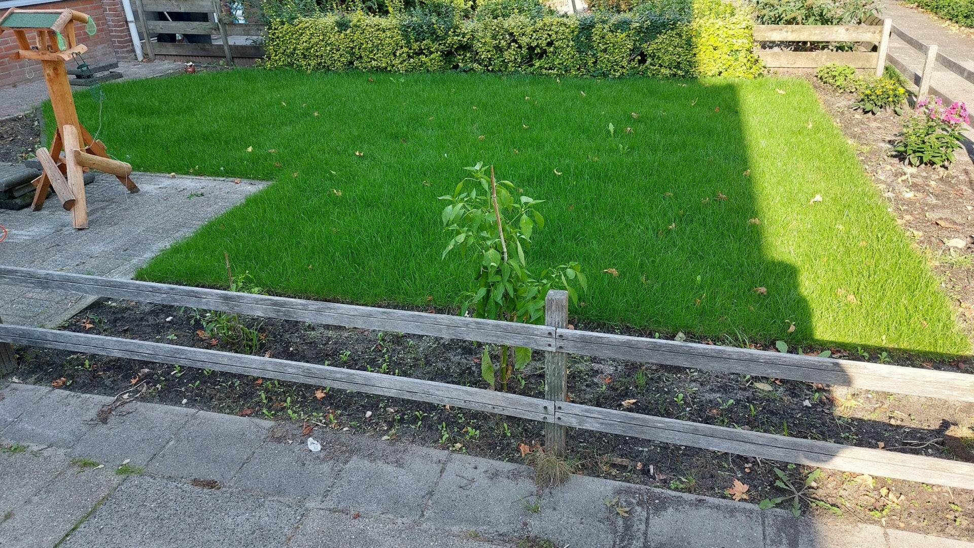 Tuin lee gehaald en graszoden aangelegd.