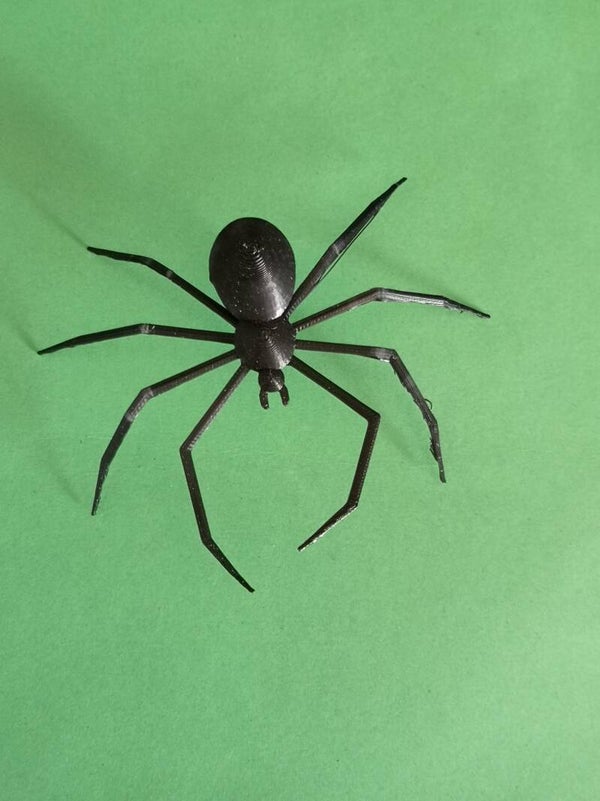 Araña