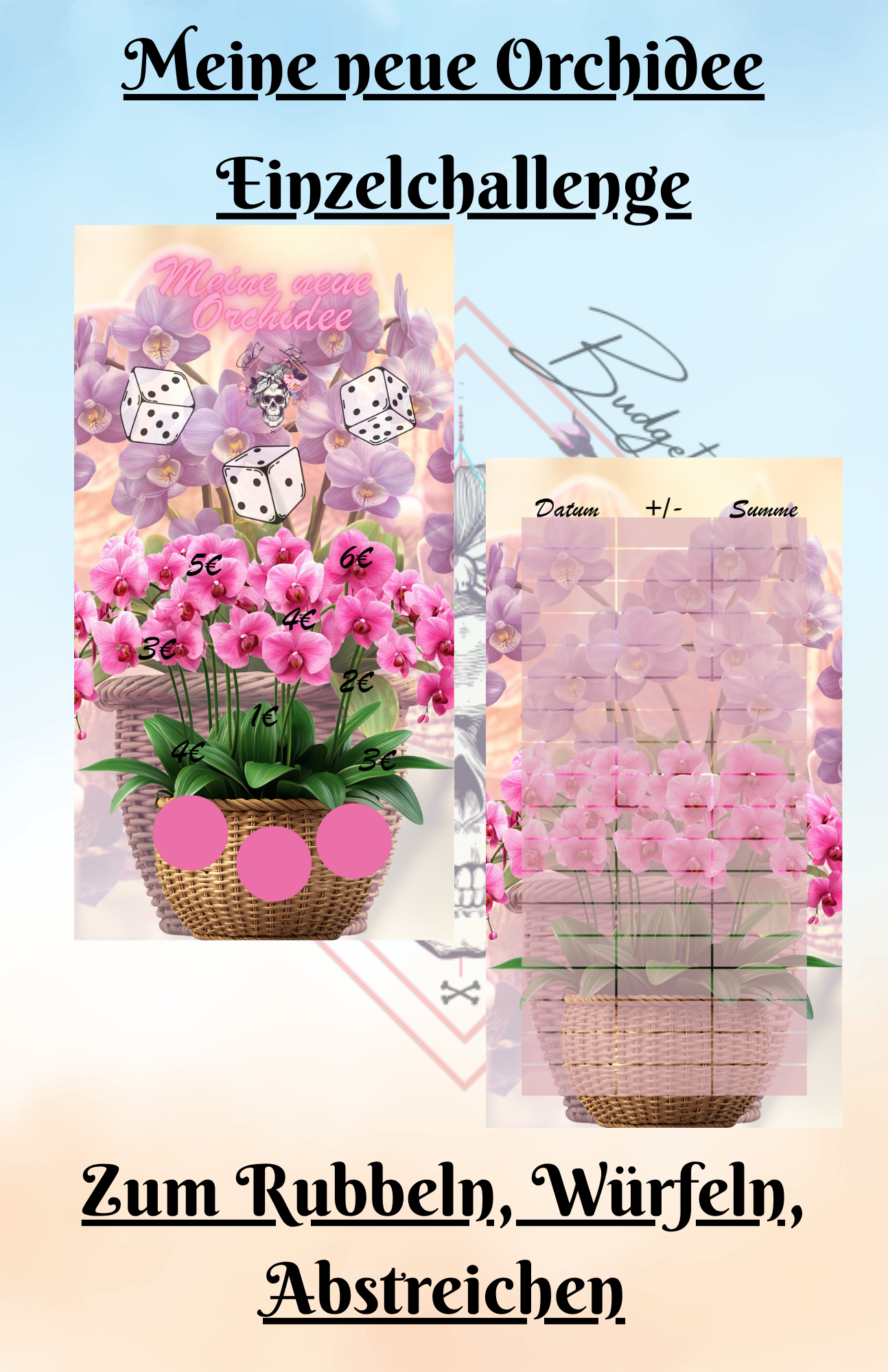 Meine neue Orchidee Einzelchallenge Artikelnummer 0051