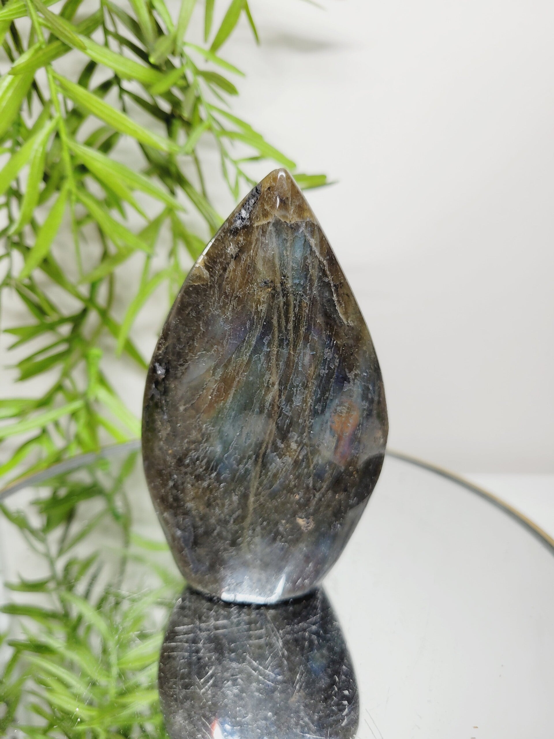 Labradoriet vlam 015