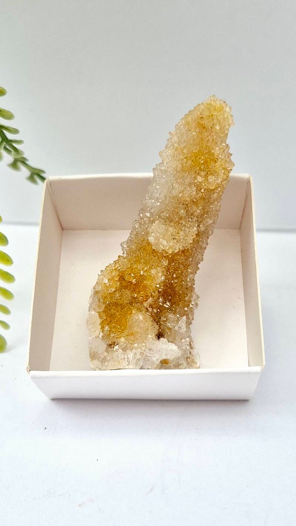 Spiritkwarts cluster 017