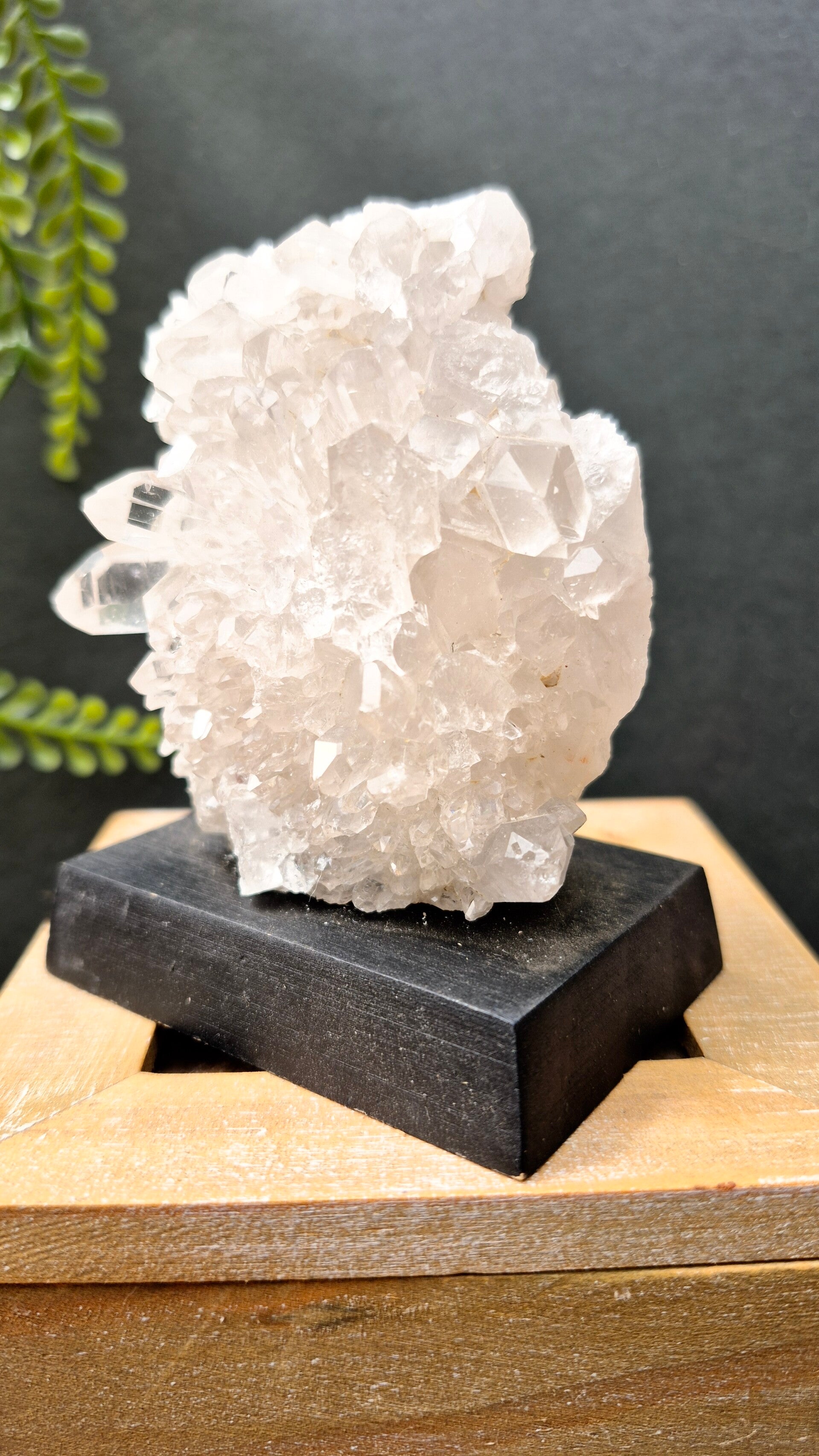 Bergkristal cluster op vaste voet #1