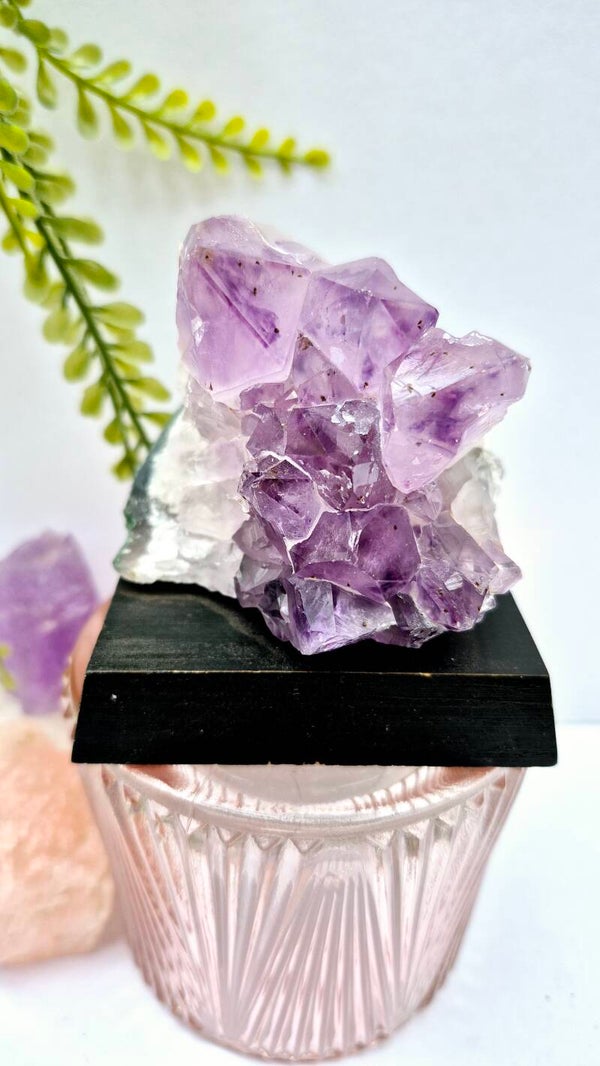 Amethist cluster op vaste voet #8