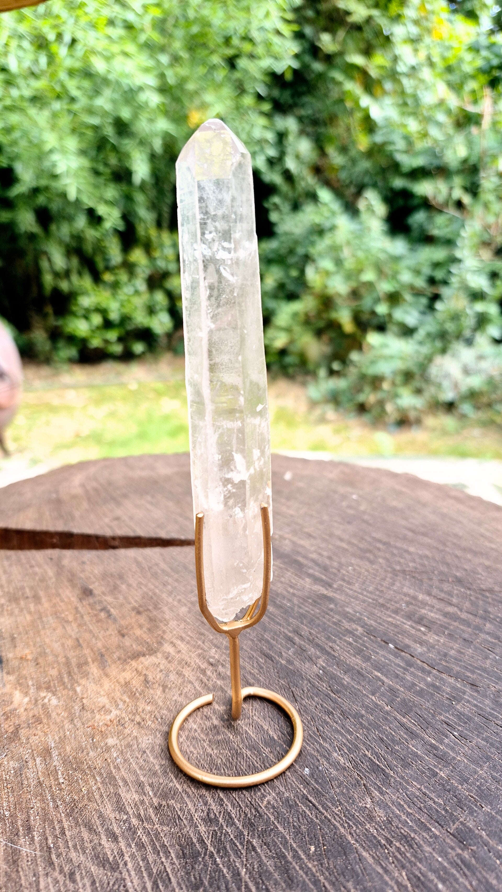 Lemurisch laserkwarts 02