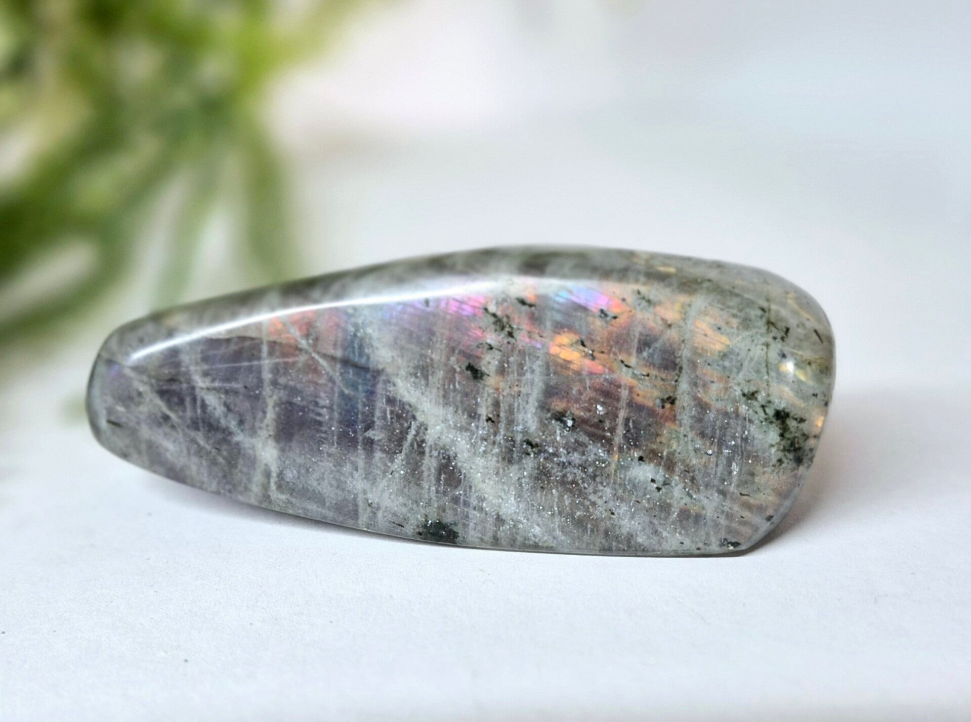 Labradoriet freeform 05