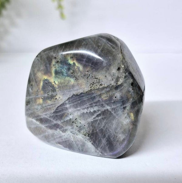 Labradoriet freeform 010