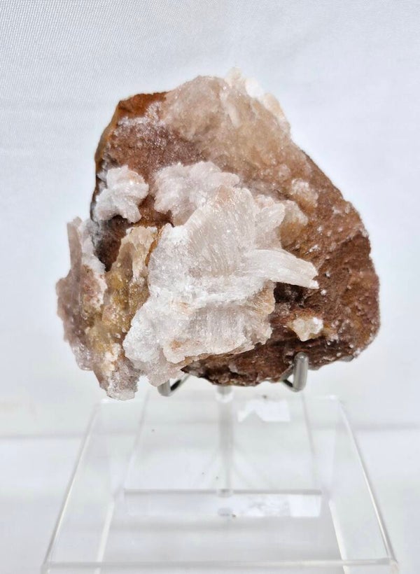 Ramshoorn Seleniet 02