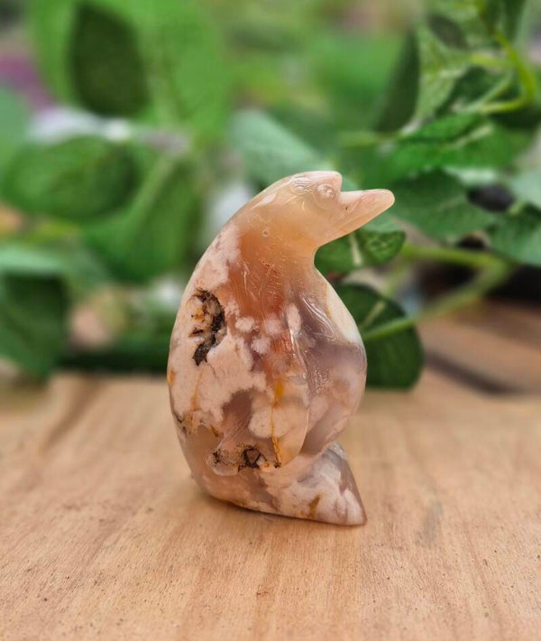 Bloemagaat pinguïn #3