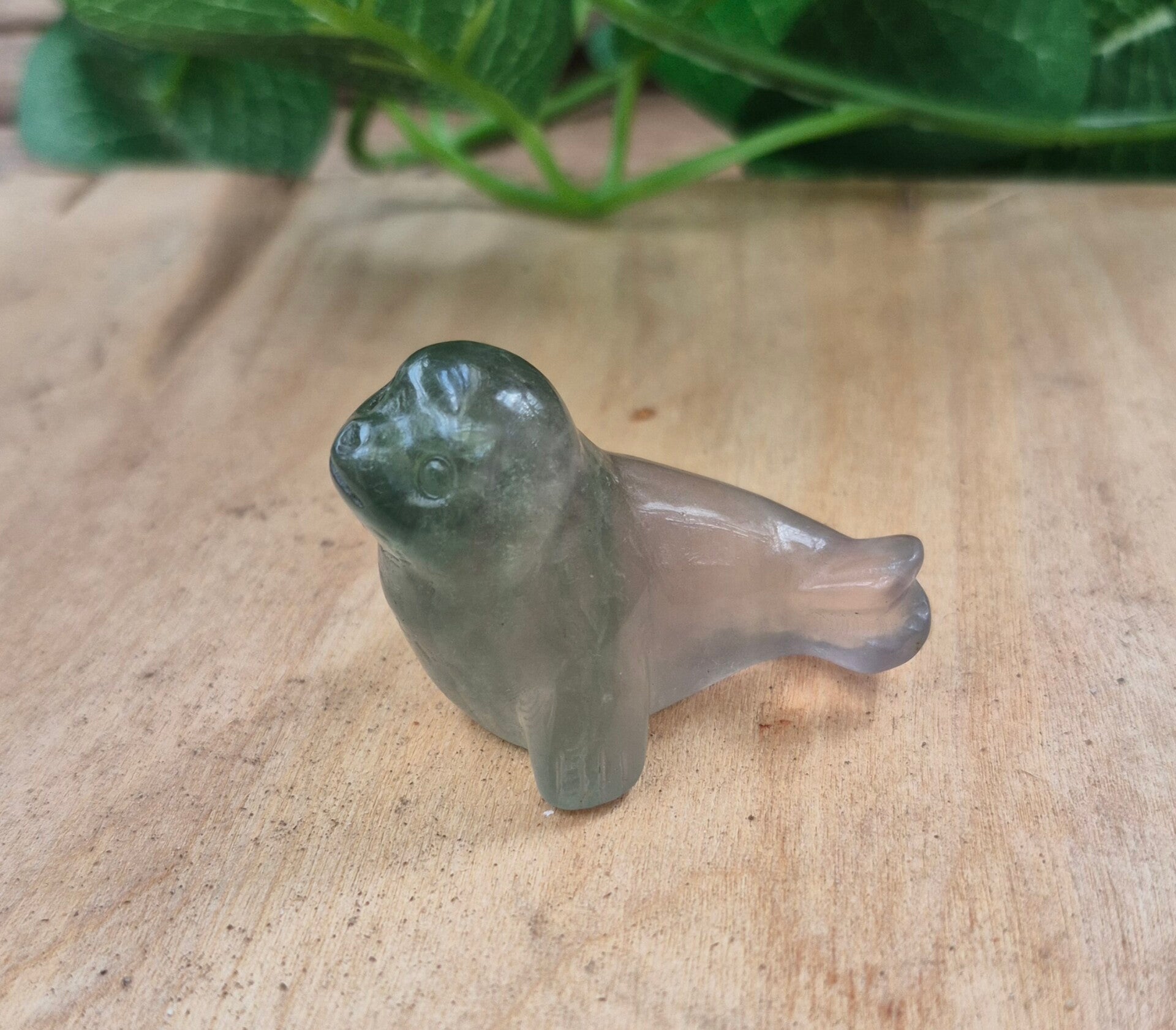 Fluoriet zeehondje #2