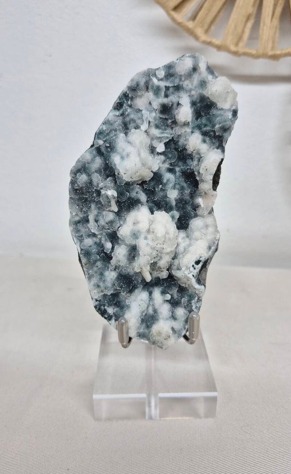 Apofyliet op Chalcedoon 06