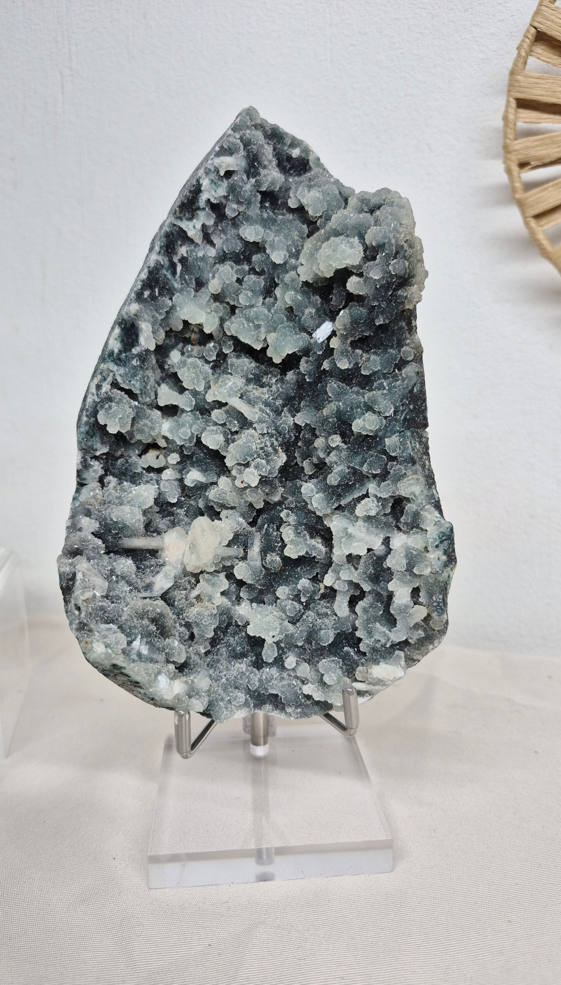 Apofyliet op Chalcedoon 01