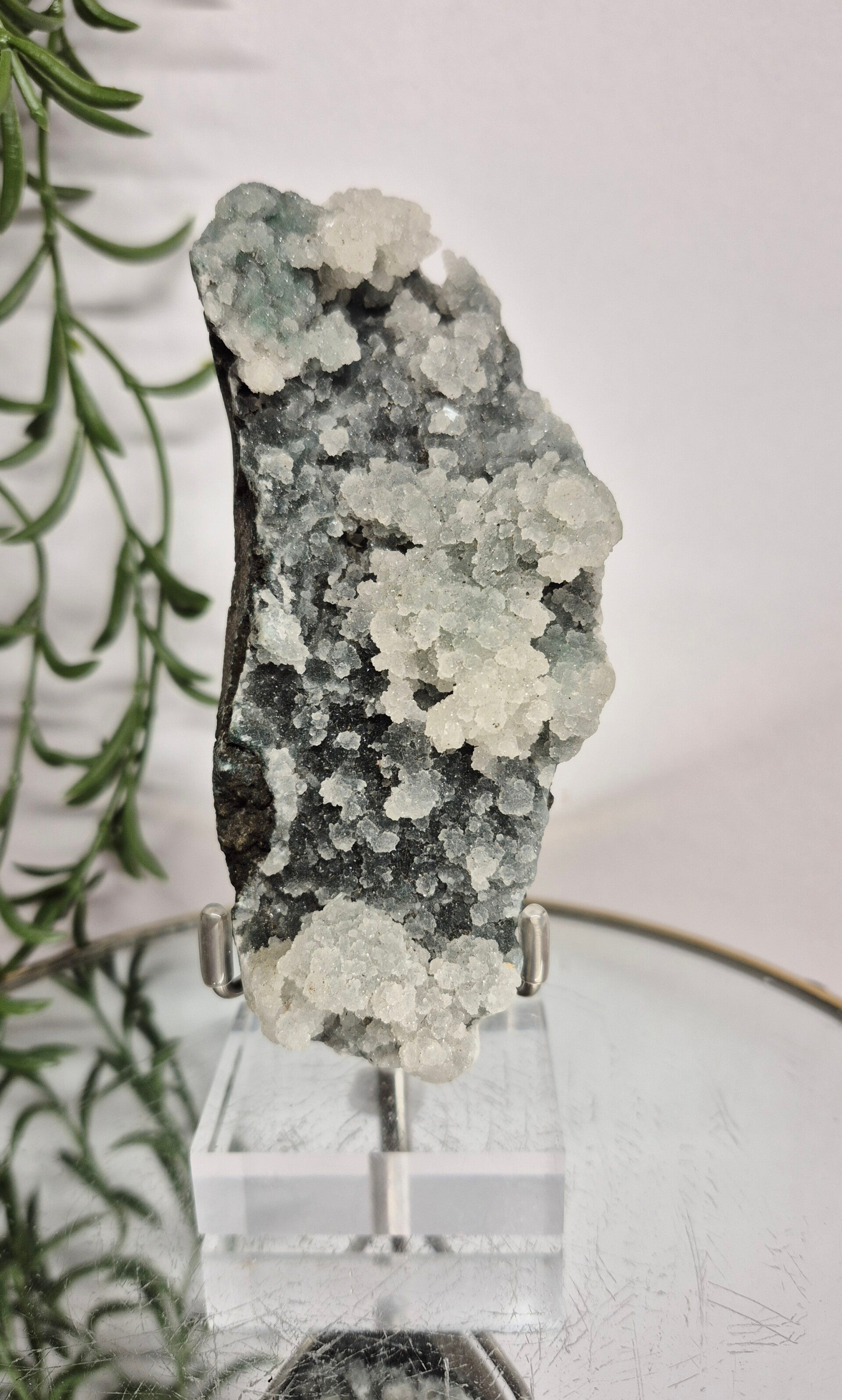 Apofyliet op Chalcedoon 013