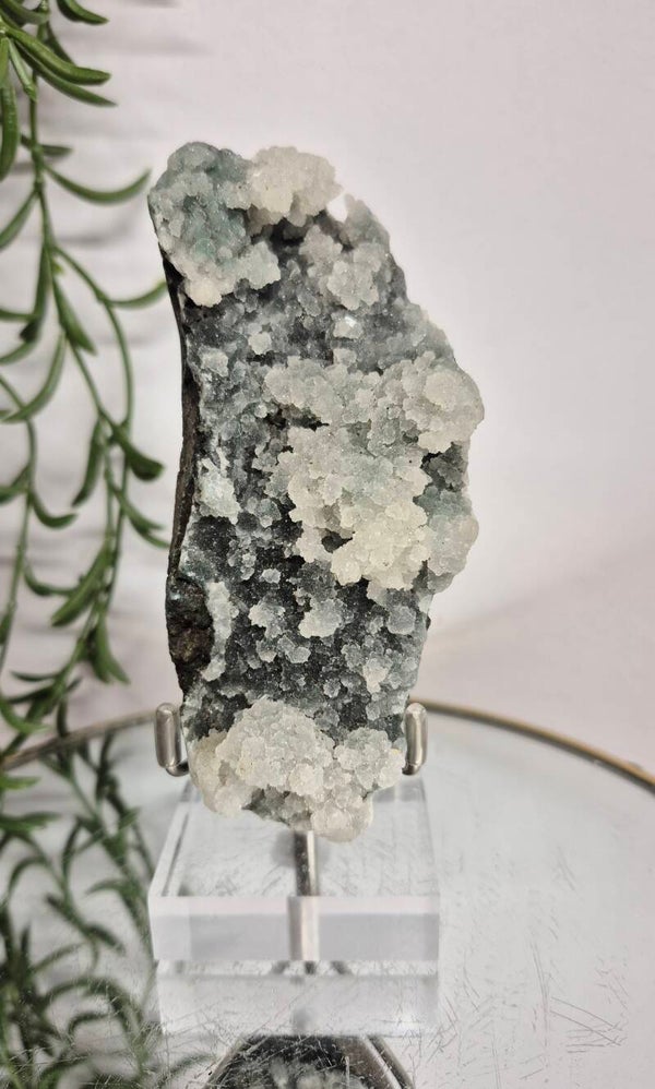 Apofyliet op Chalcedoon 013