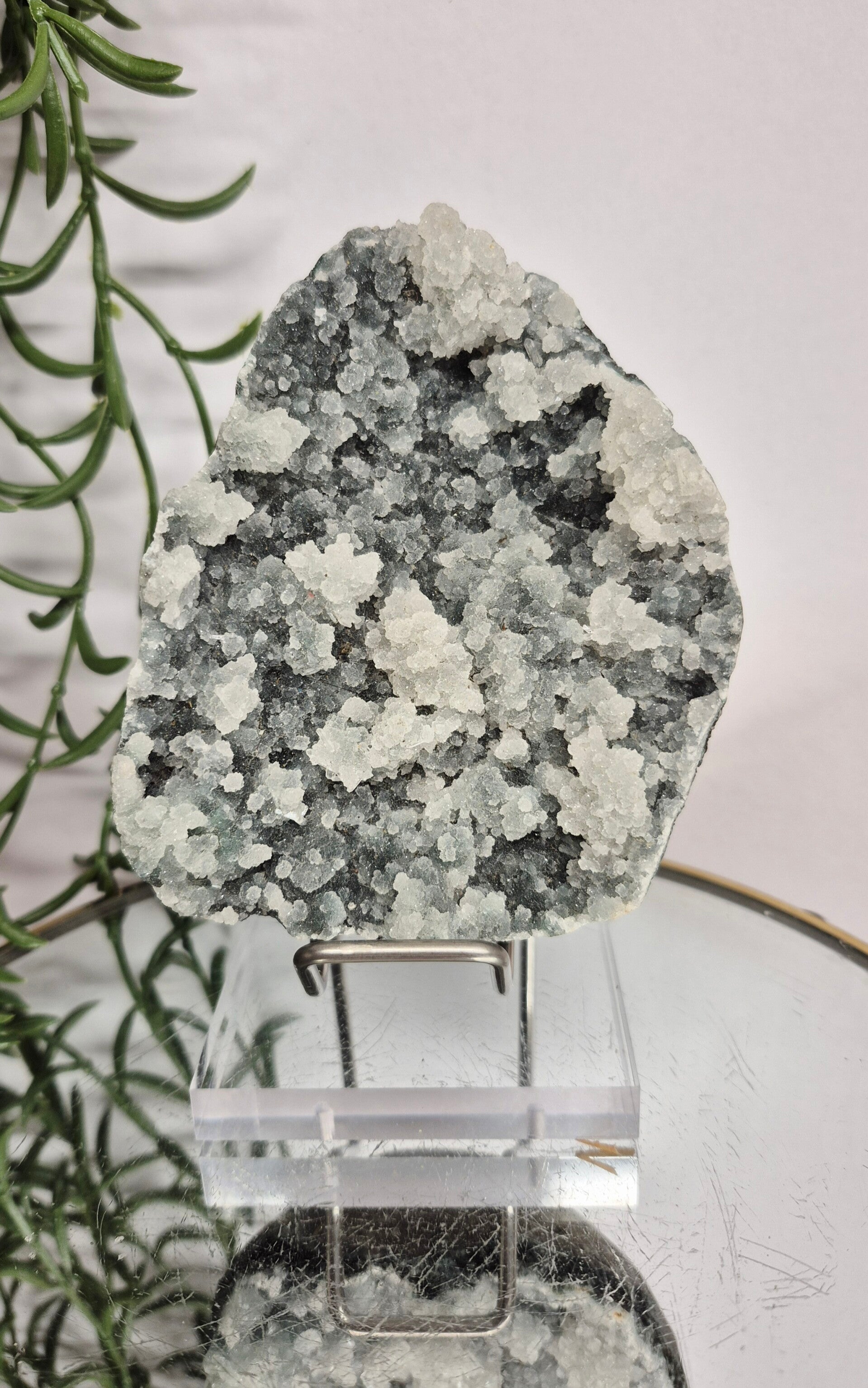 Chalcedoon cluster 018