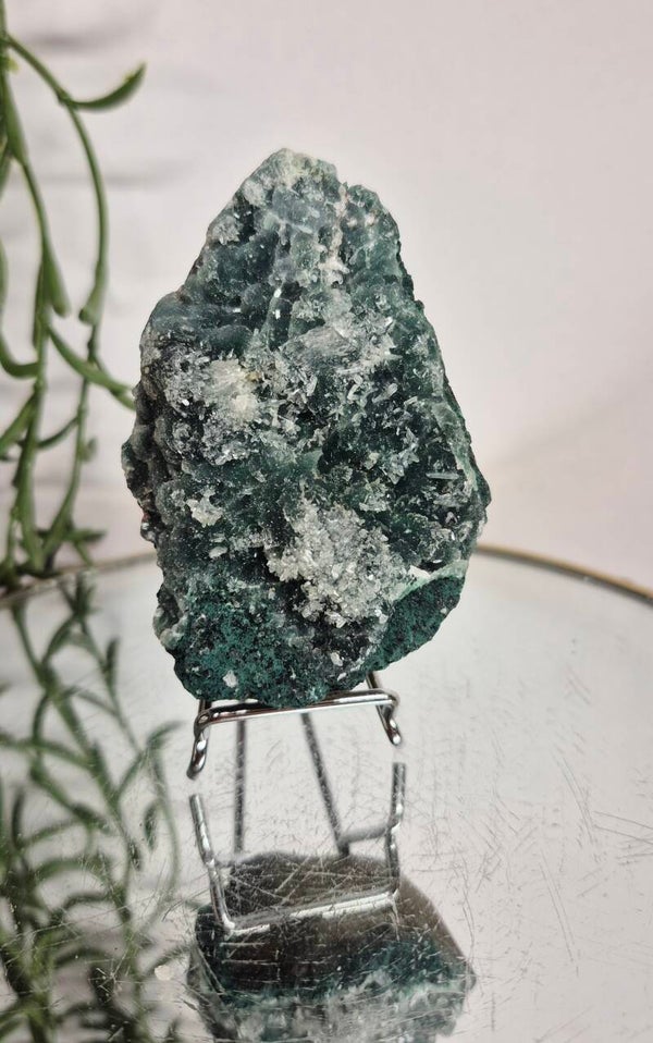 Apofyliet op Chalcedoon 024