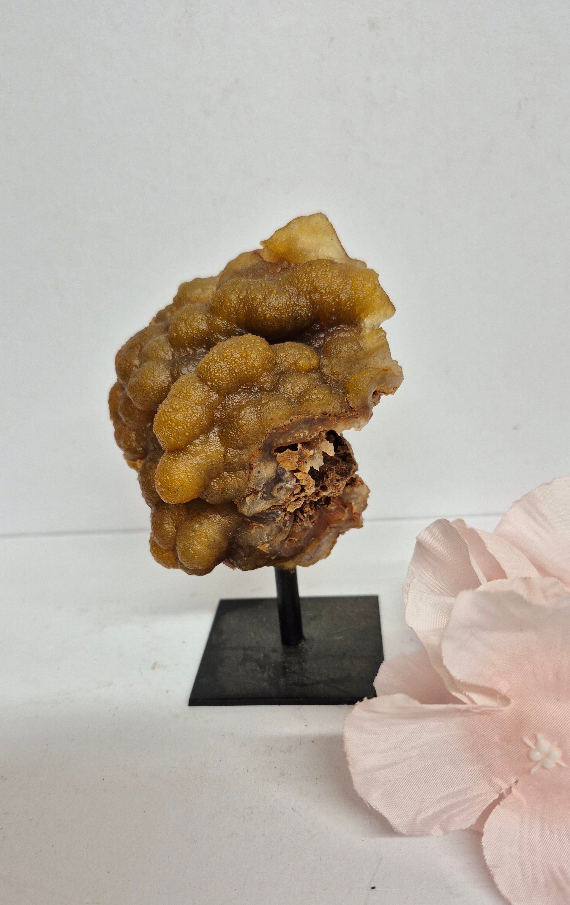 Botryoïdale Chalcedoon