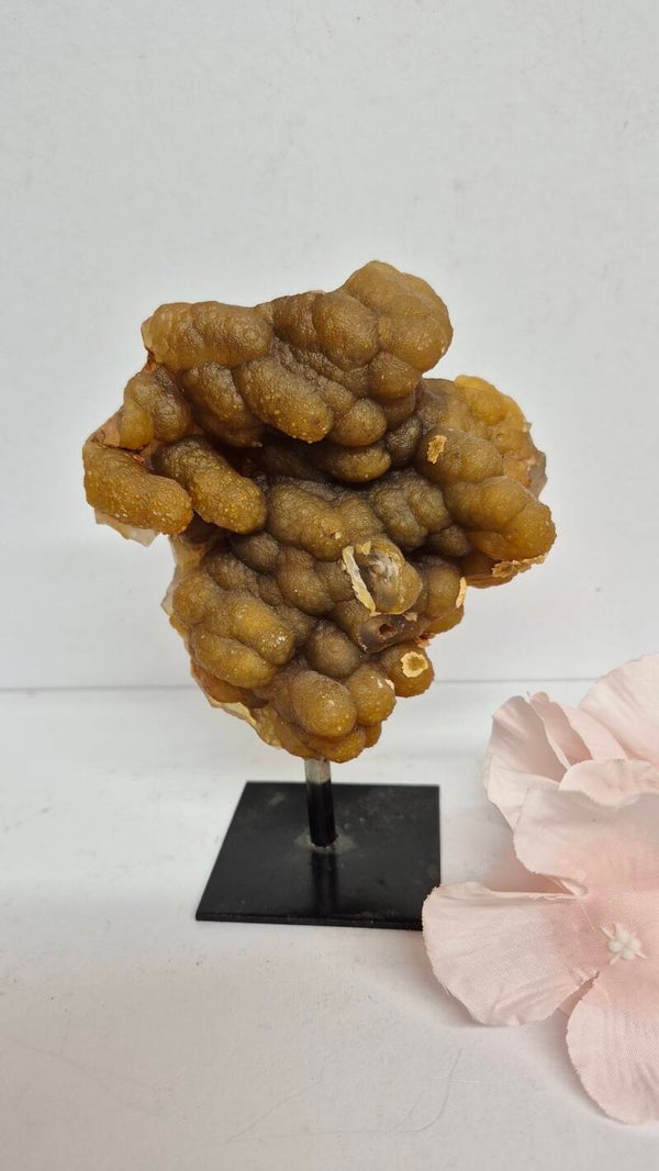 Botryoïdale Chalcedoon