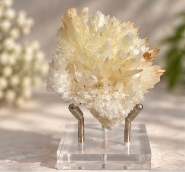 Geel-Witte Aragoniet Cluster uit Guizhou, China – op Standaard