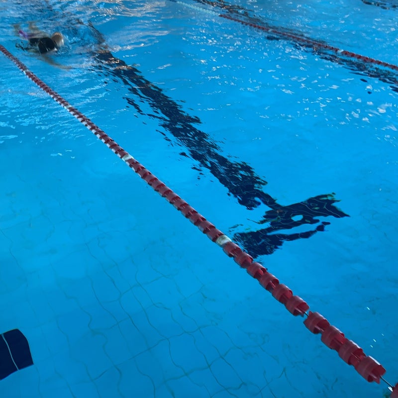 wahoo-swimming-how-to-prepare-for-a-swim-meet-swim-team-training-tips31-standard.jpg