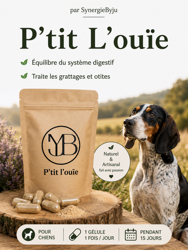 P'tit L'Ouïe