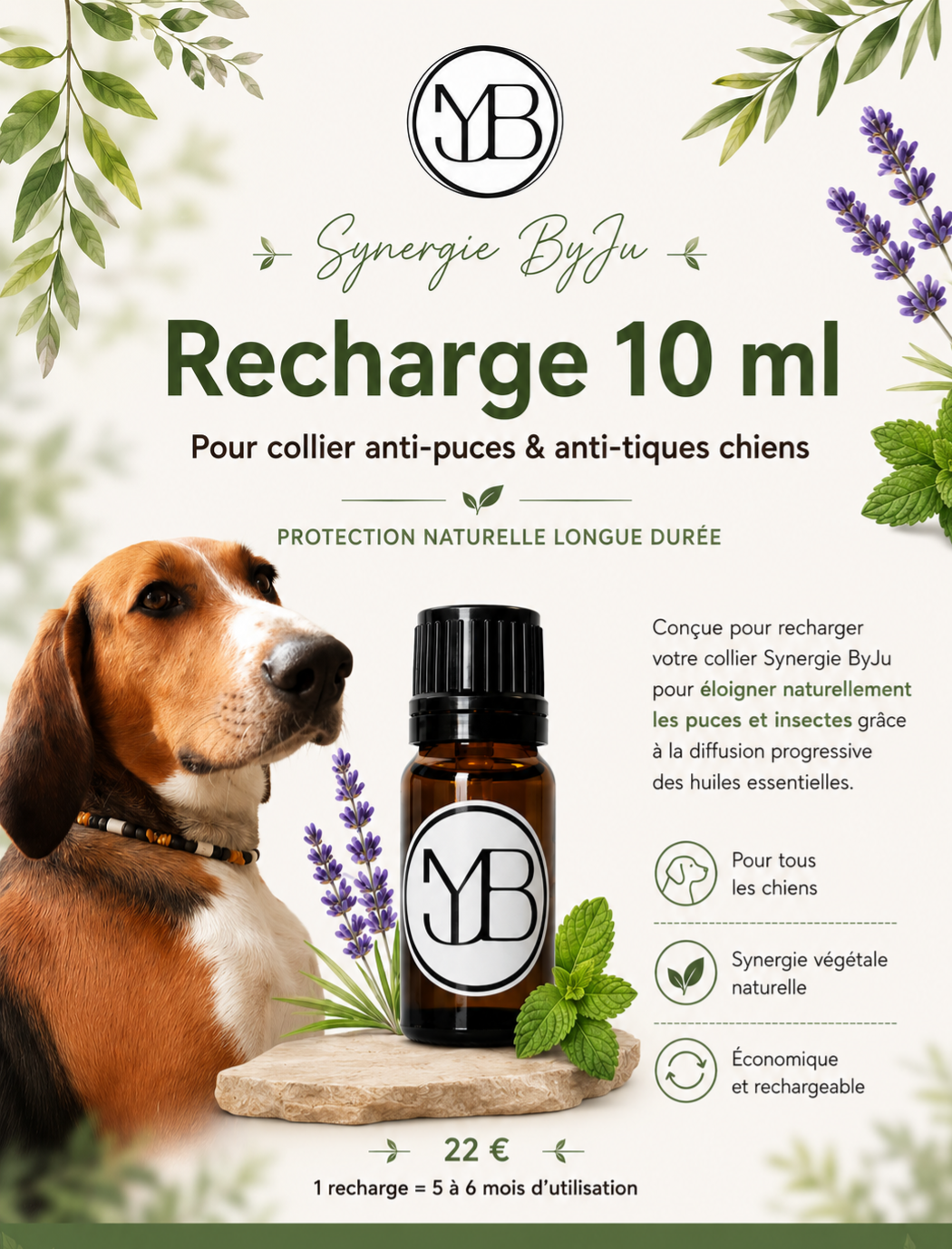 Recharge Collier anti-puces & anti-tiques