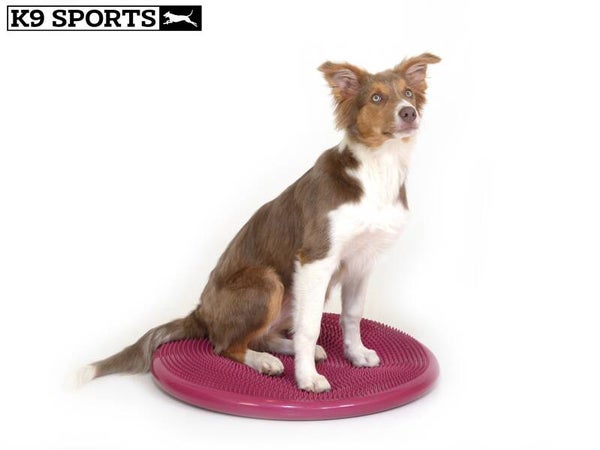 K9 Sports Balansschijf Ø56 cm