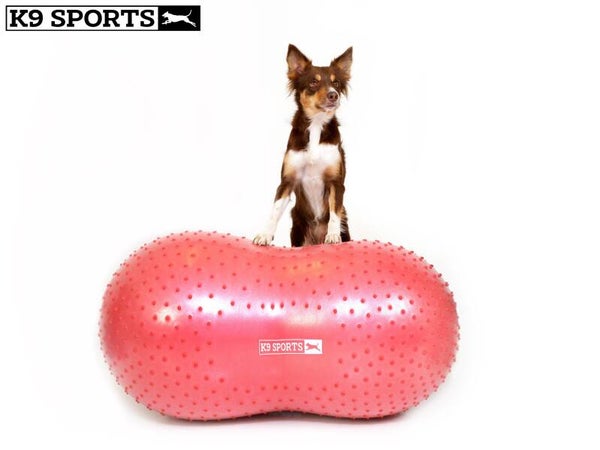 K9 Sports Peanut – S, M & L