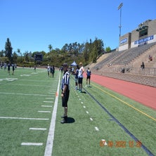 dsc_0212jpg-1.jpg