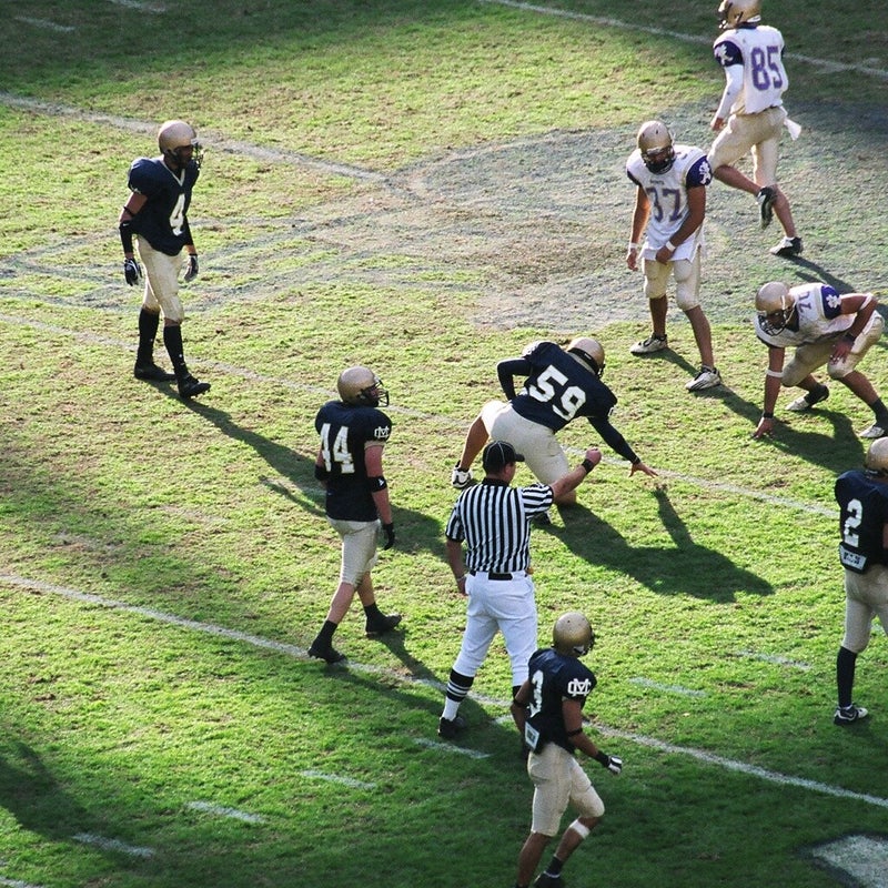 91790017.jpg