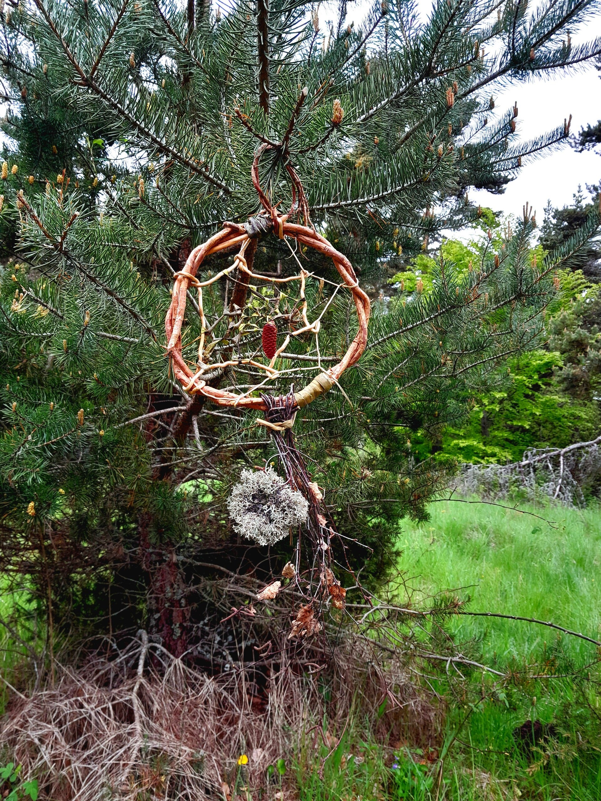 Activités de groupe lors d'un stage nature