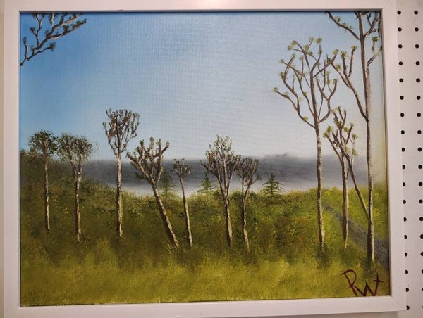 Landscape 16x20 w/frame
