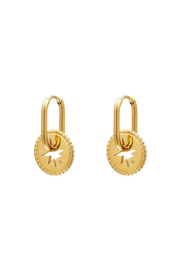 Oorbellen | RVS | munt | ster
