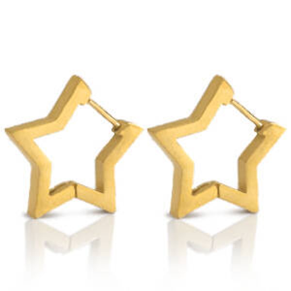 Oorbellen | RVS | ster