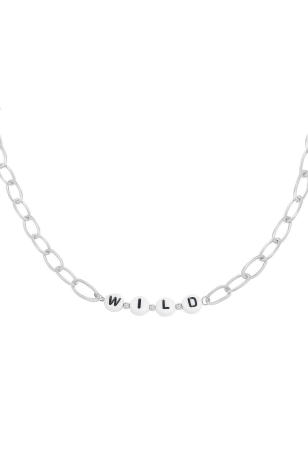 Ketting | RVS | wild