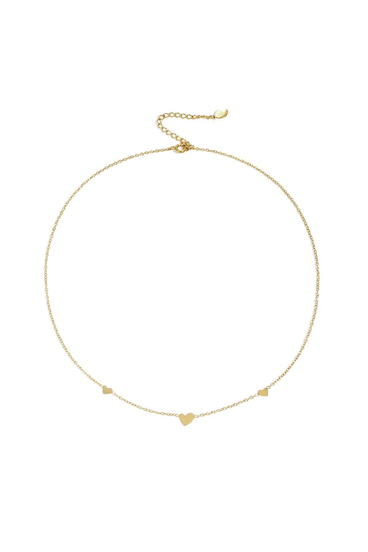 Ketting | RVS | Mini hartjes