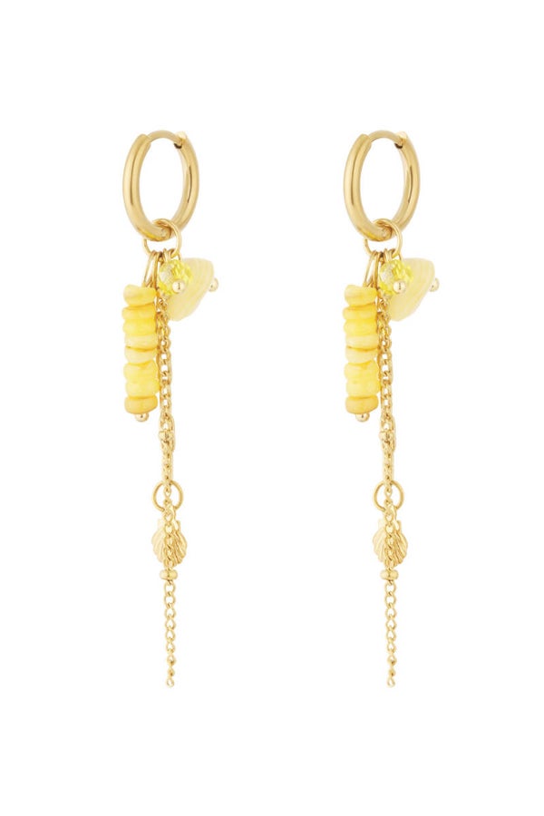 Oorbellen | RVS | Goud | Maris