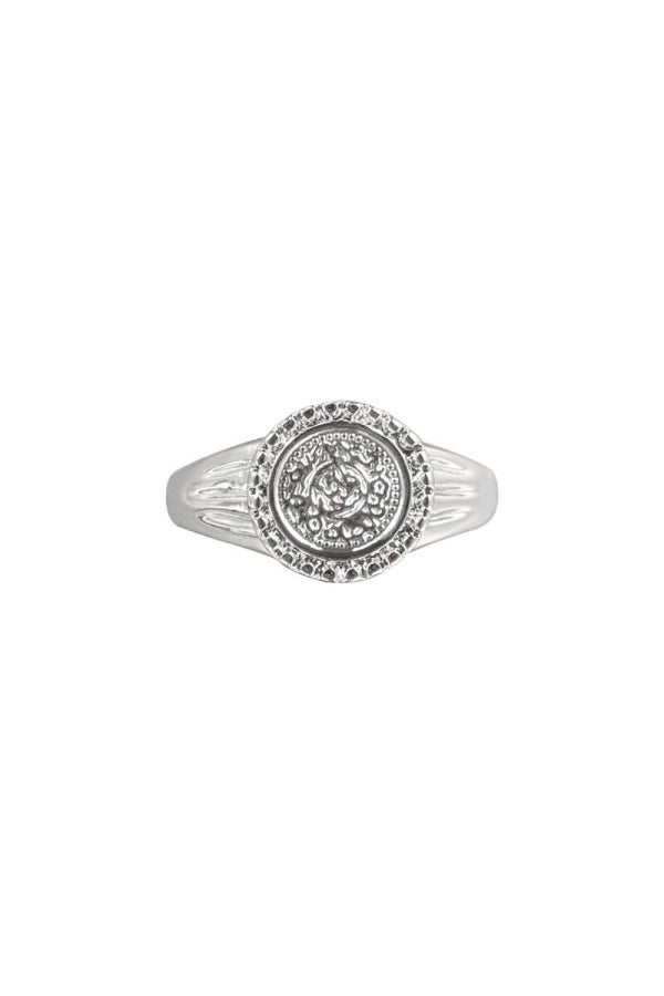 Ring | RVS | coin