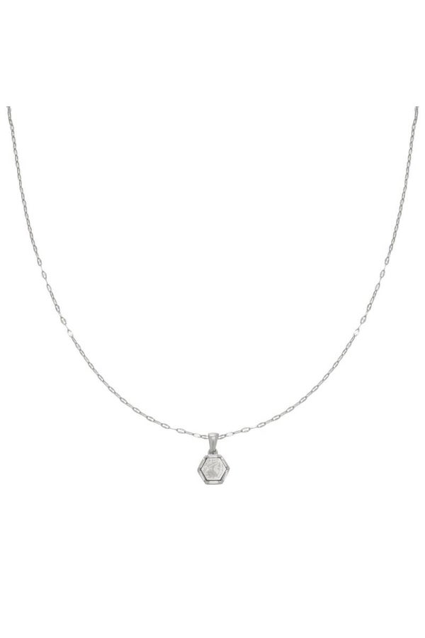 Ketting | RVS | wolf