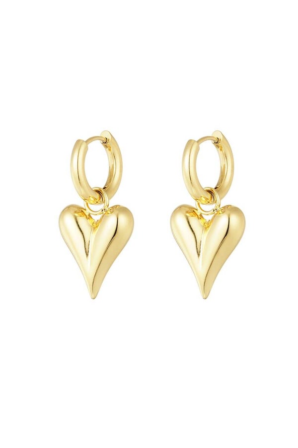 Oorbellen | RVS | Medium hart