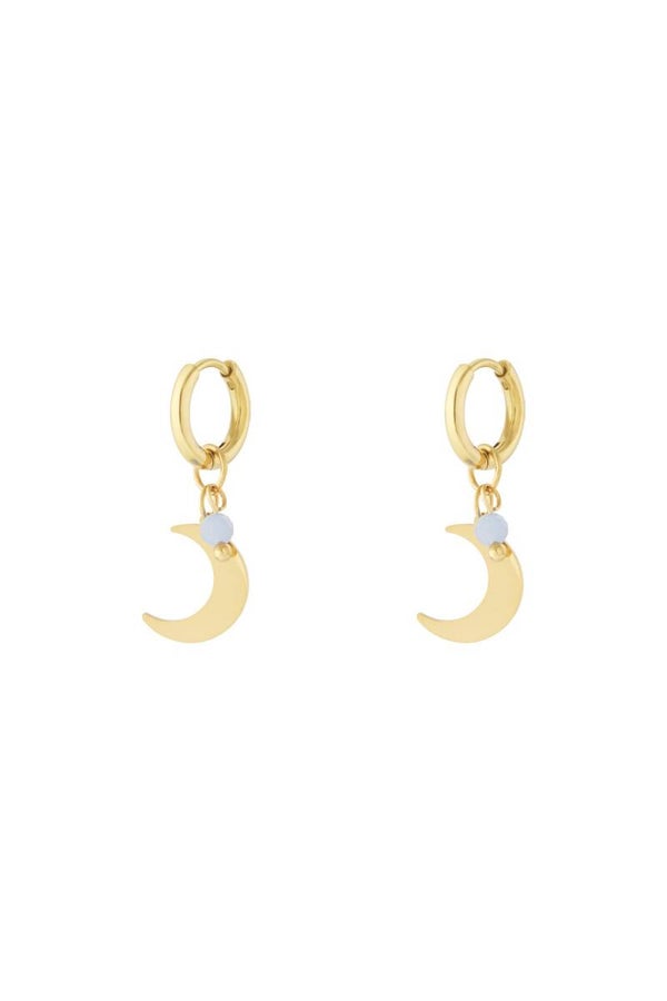 Oorbellen | RVS | Maantjes | Goud