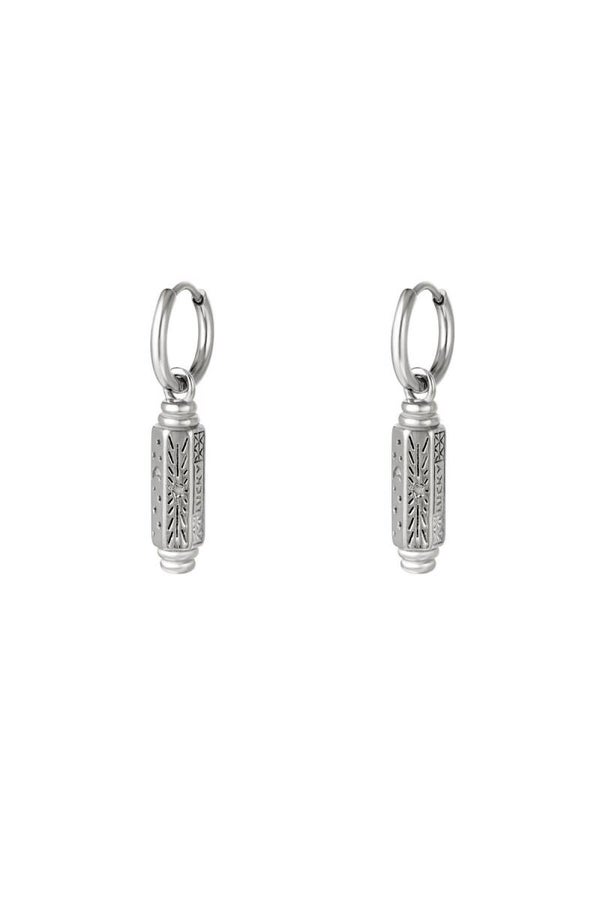 Oorbellen | RVS | Zilver | Lucky