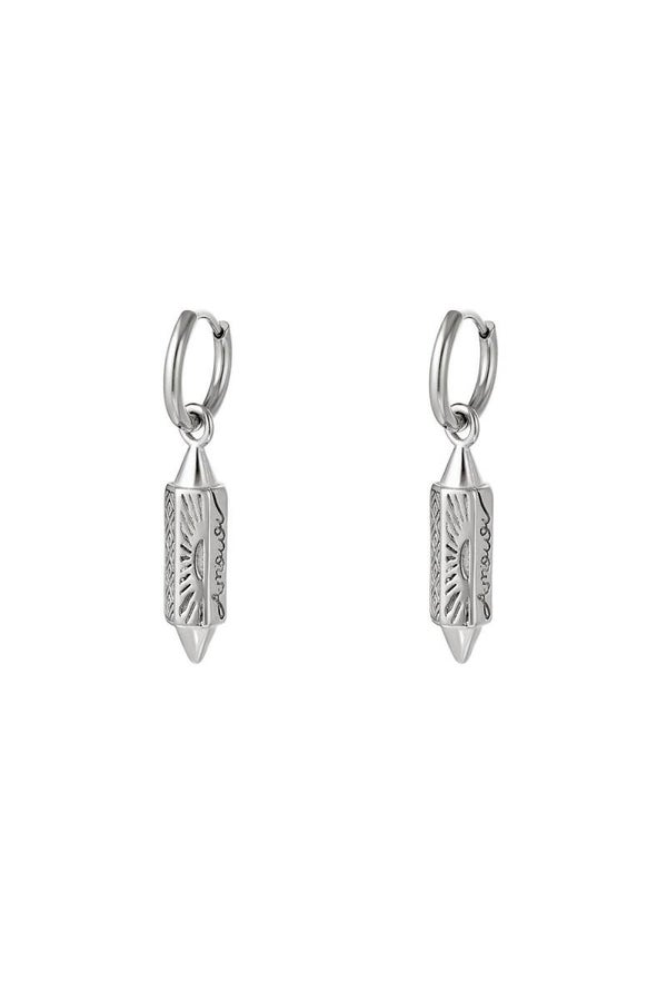 Oorbellen | RVS | Amour
