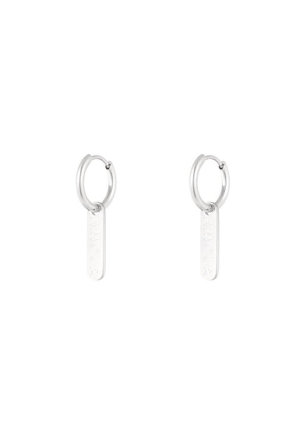 Oorbellen | RVS | Amour bedel