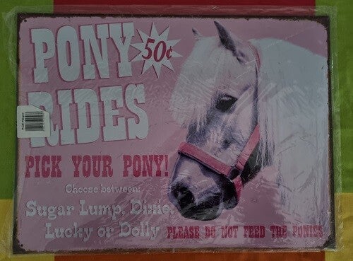 Pony rides metal art