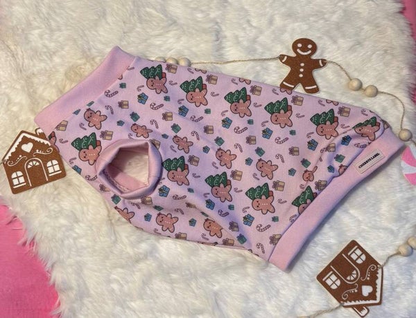 Hundepullover GingerLove