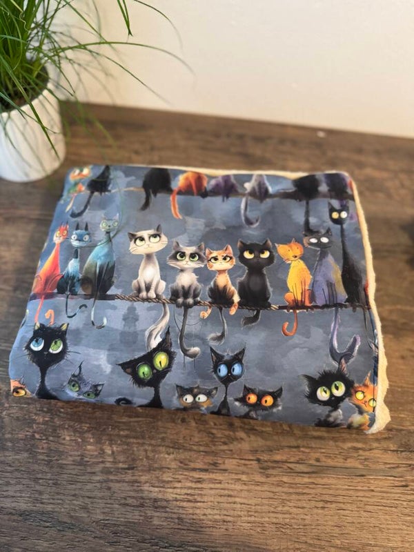 Softshelldecke crazy Cats