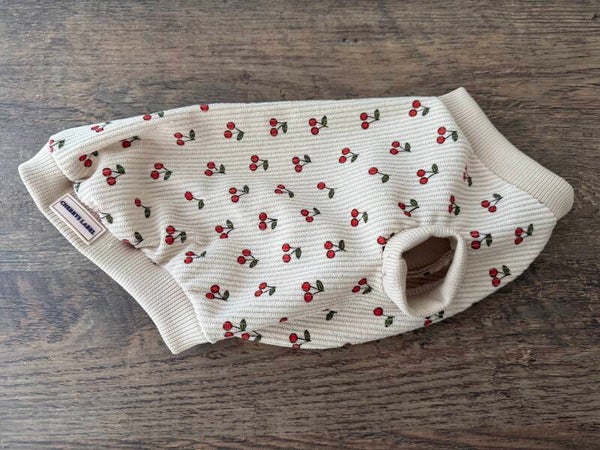 Hundepullover Cherry