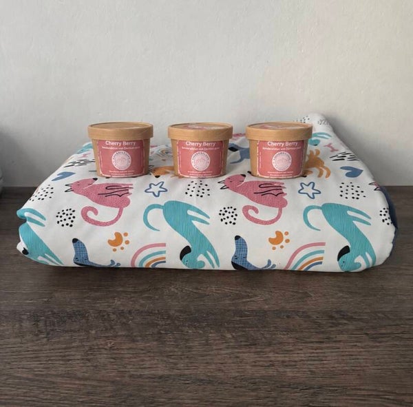 Softshelldecke colourDogs + Hundekese Set