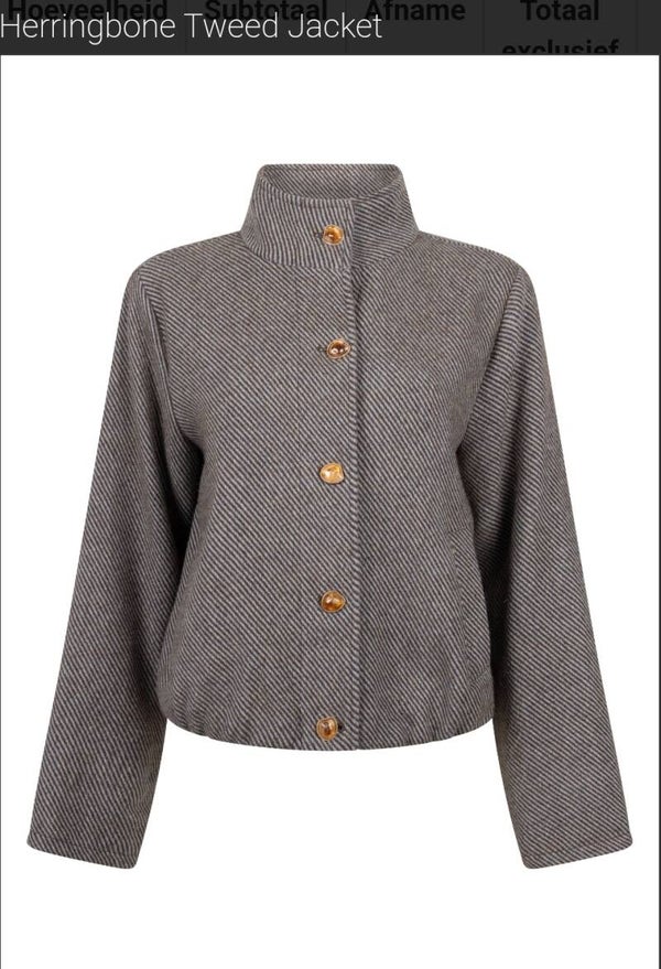Tramontana 'Carin' herringbone tweed jacket