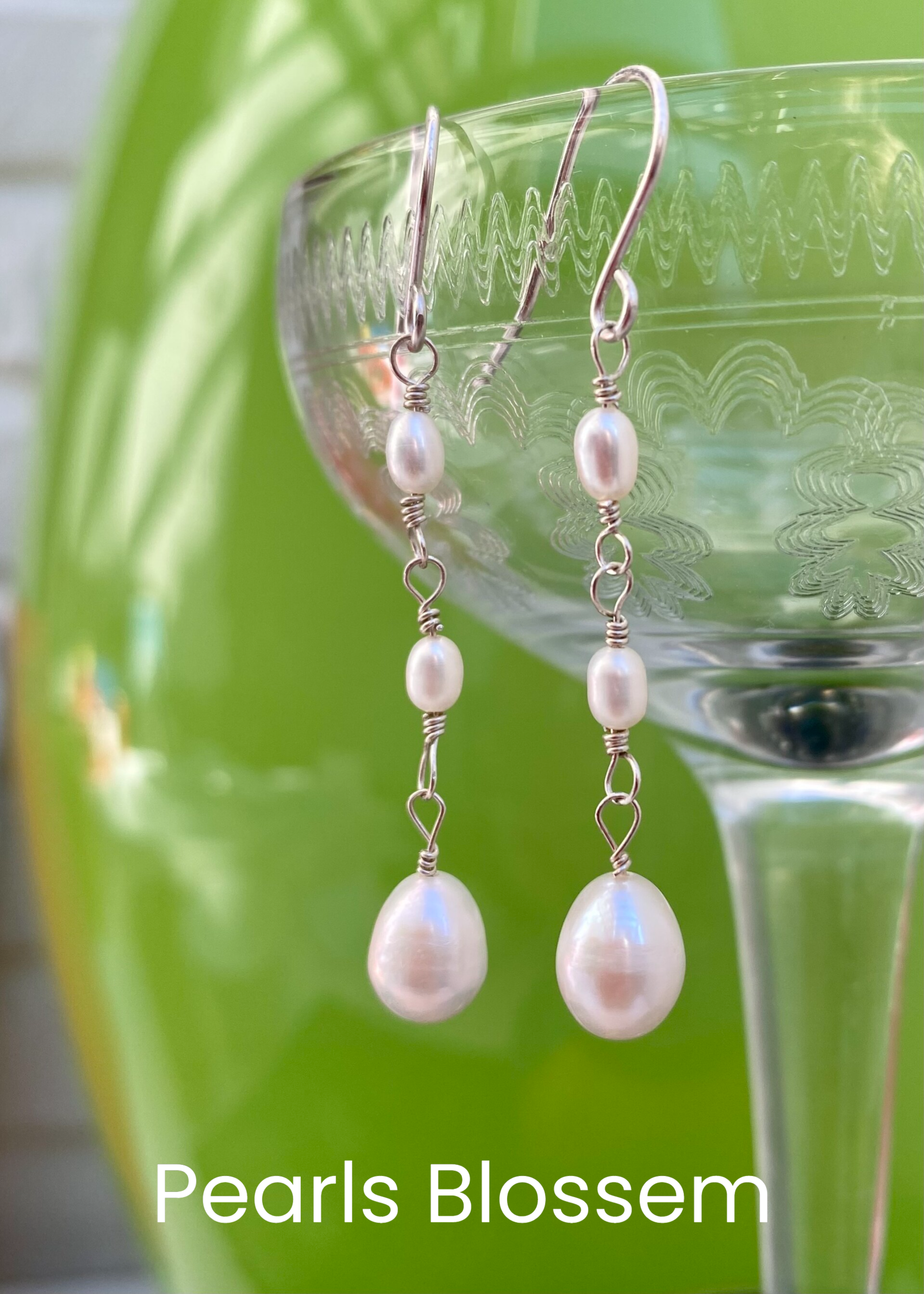 Zilveren Oorbellen 50€